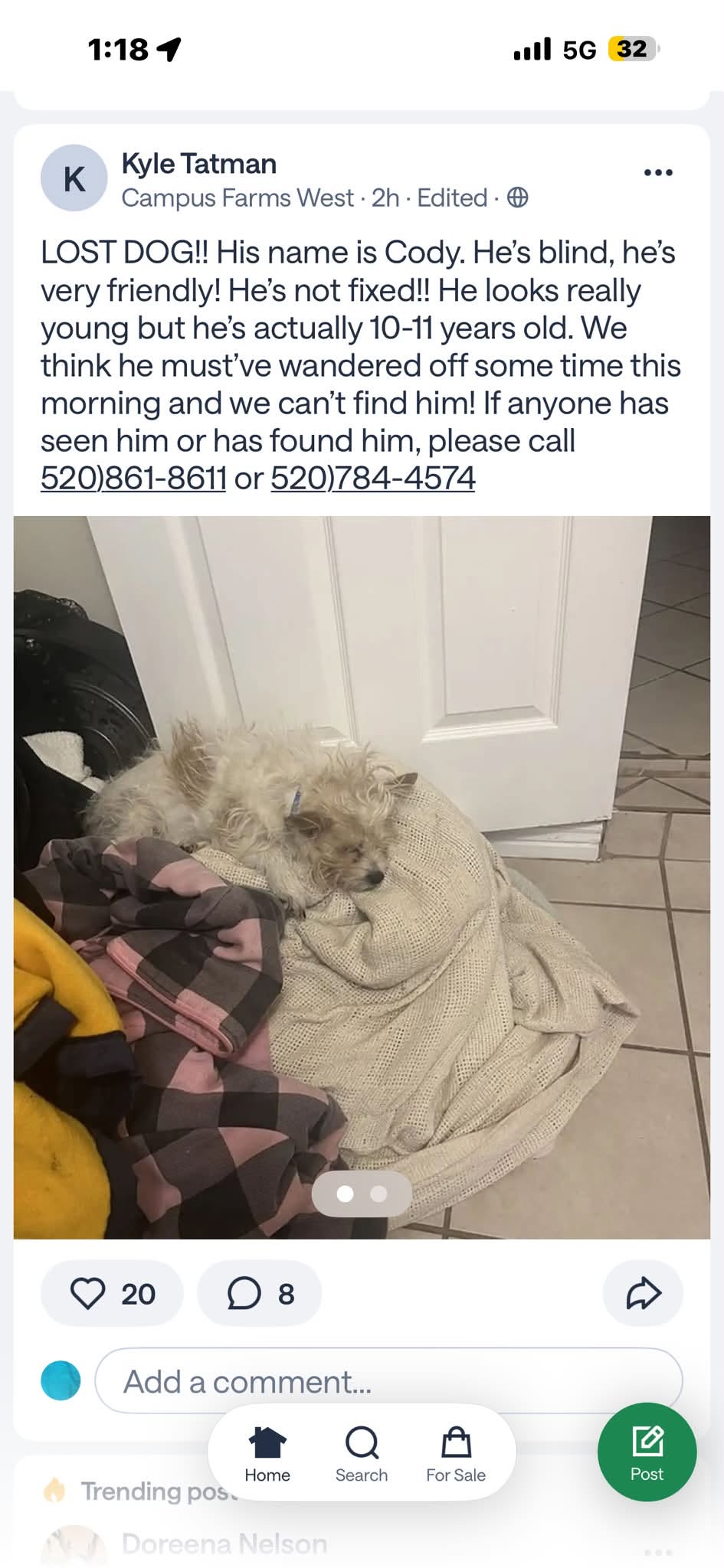 Lost Dog in Campus Farms West