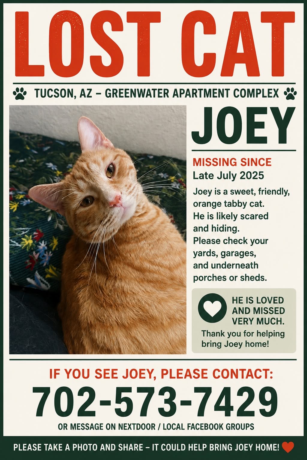 Lost cat