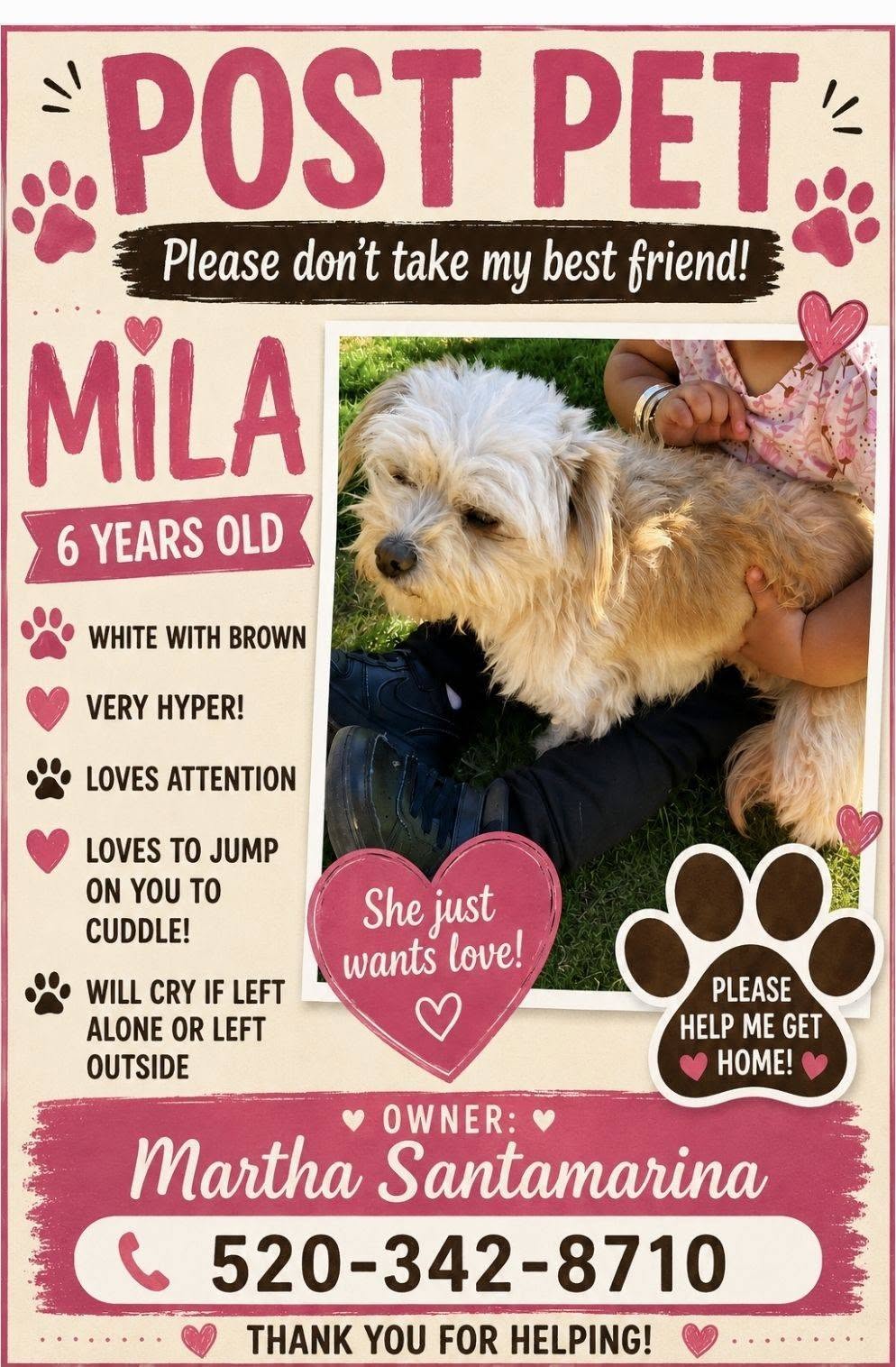 Lost Dog in Tucson