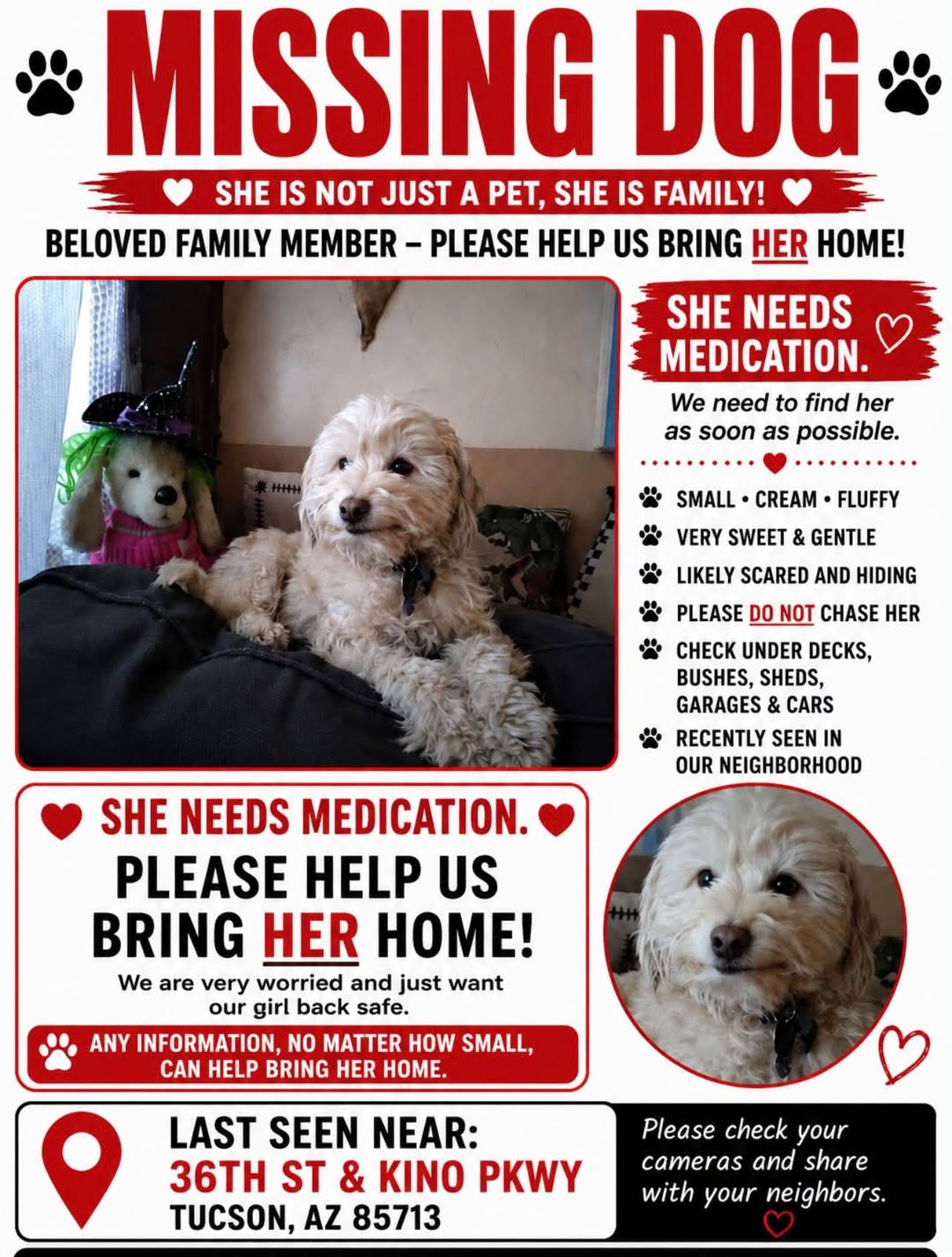 Lost Dog in Tucson