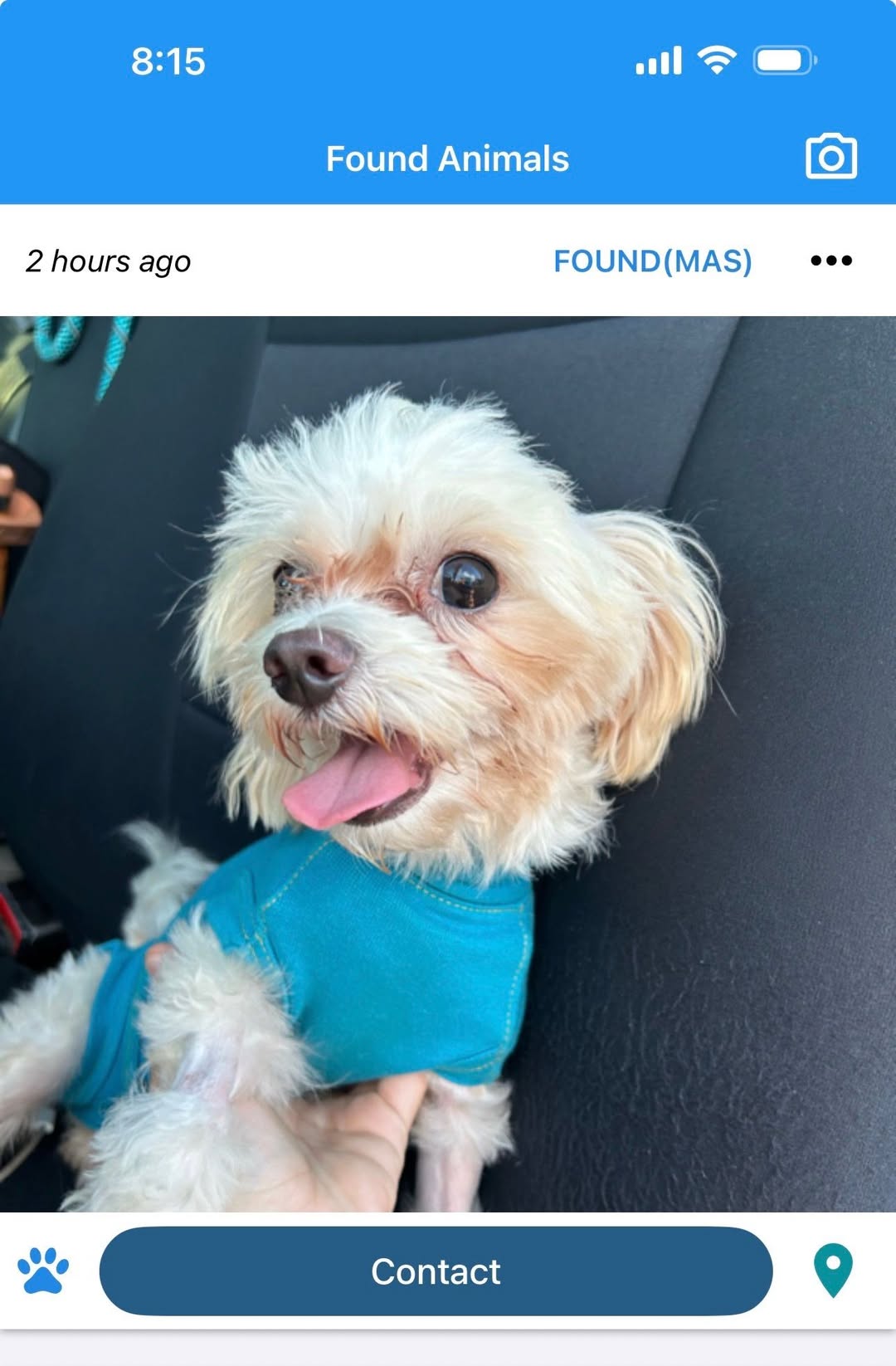 Found Dog in Marana