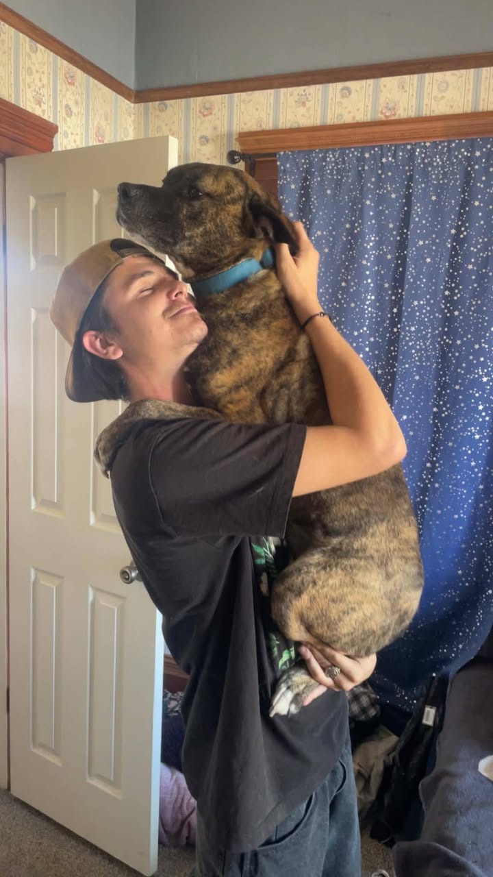 Lost Dog in Speedway And Euclid