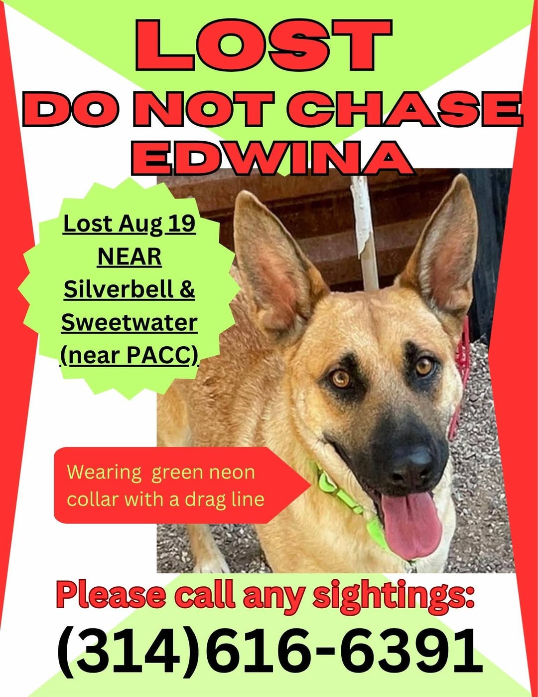 Lost Dog in Silverbell & Sweetwater