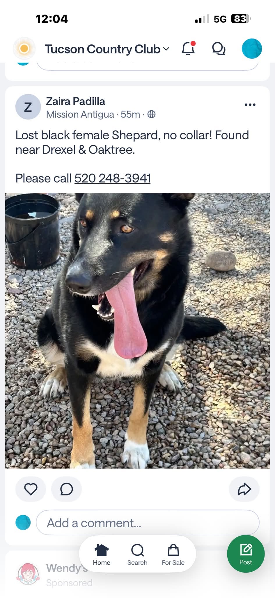 Found Dog in Drexel & Oaktree