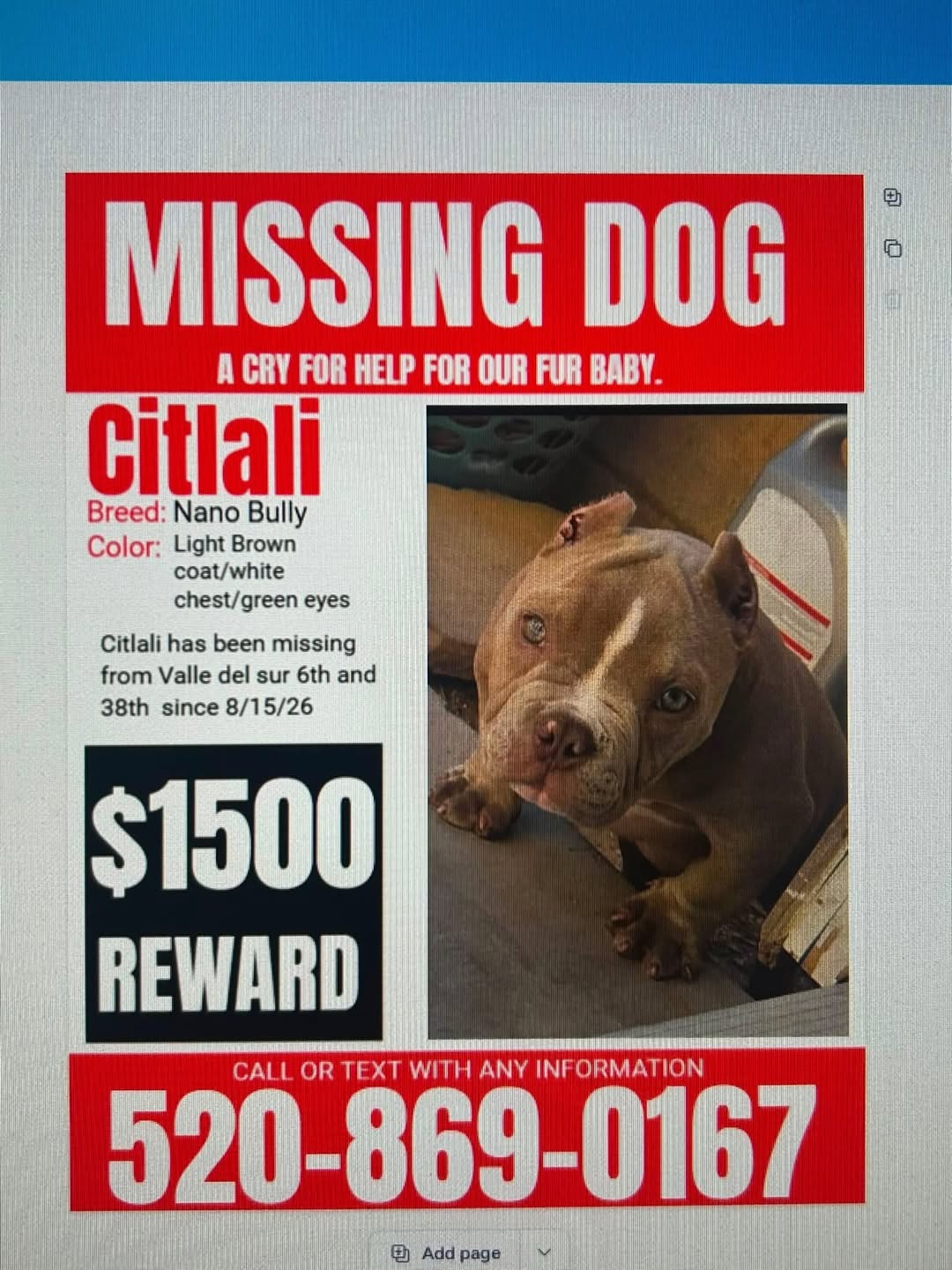 Lost Dog in Tucson