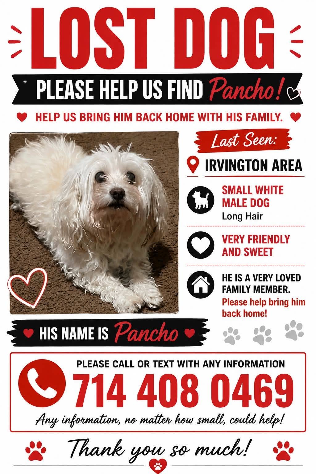 Lost dog