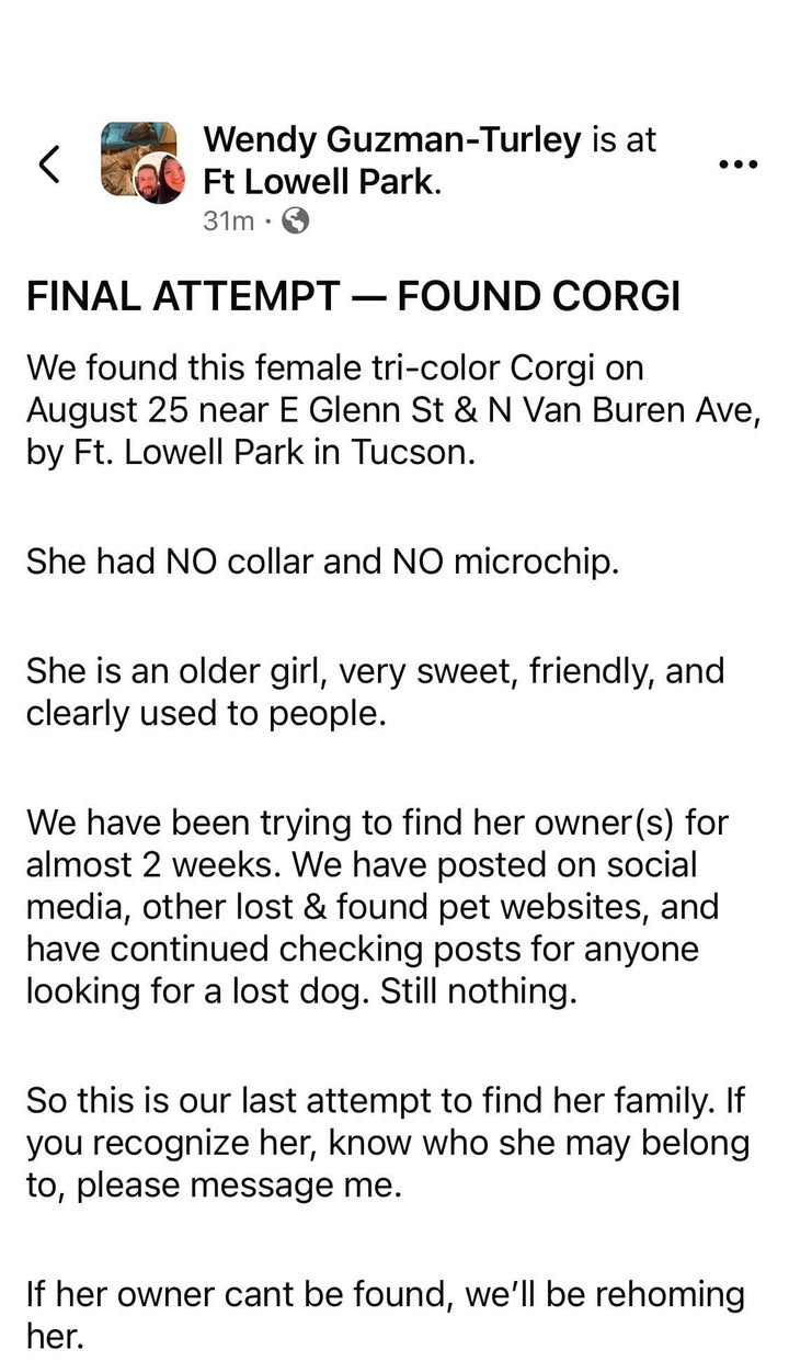 Found Dog in Ft Lowell Park
