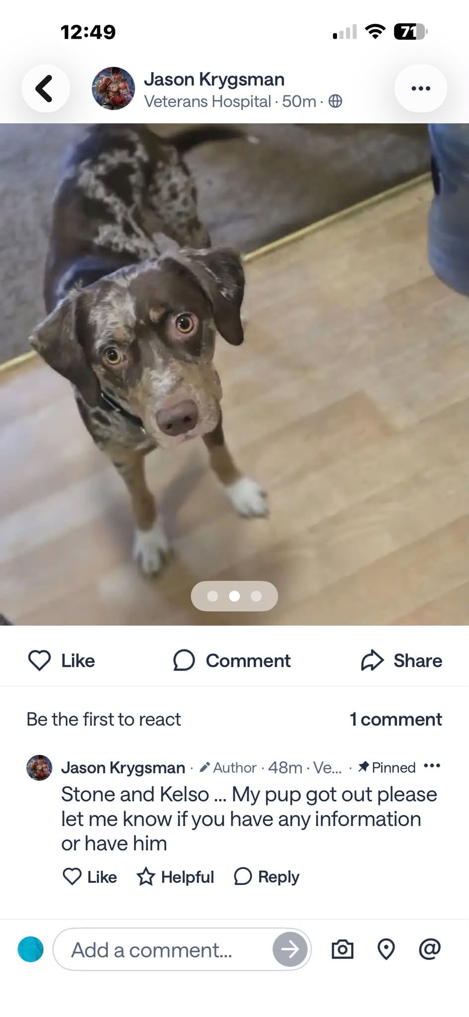 Lost Dog in Tucson