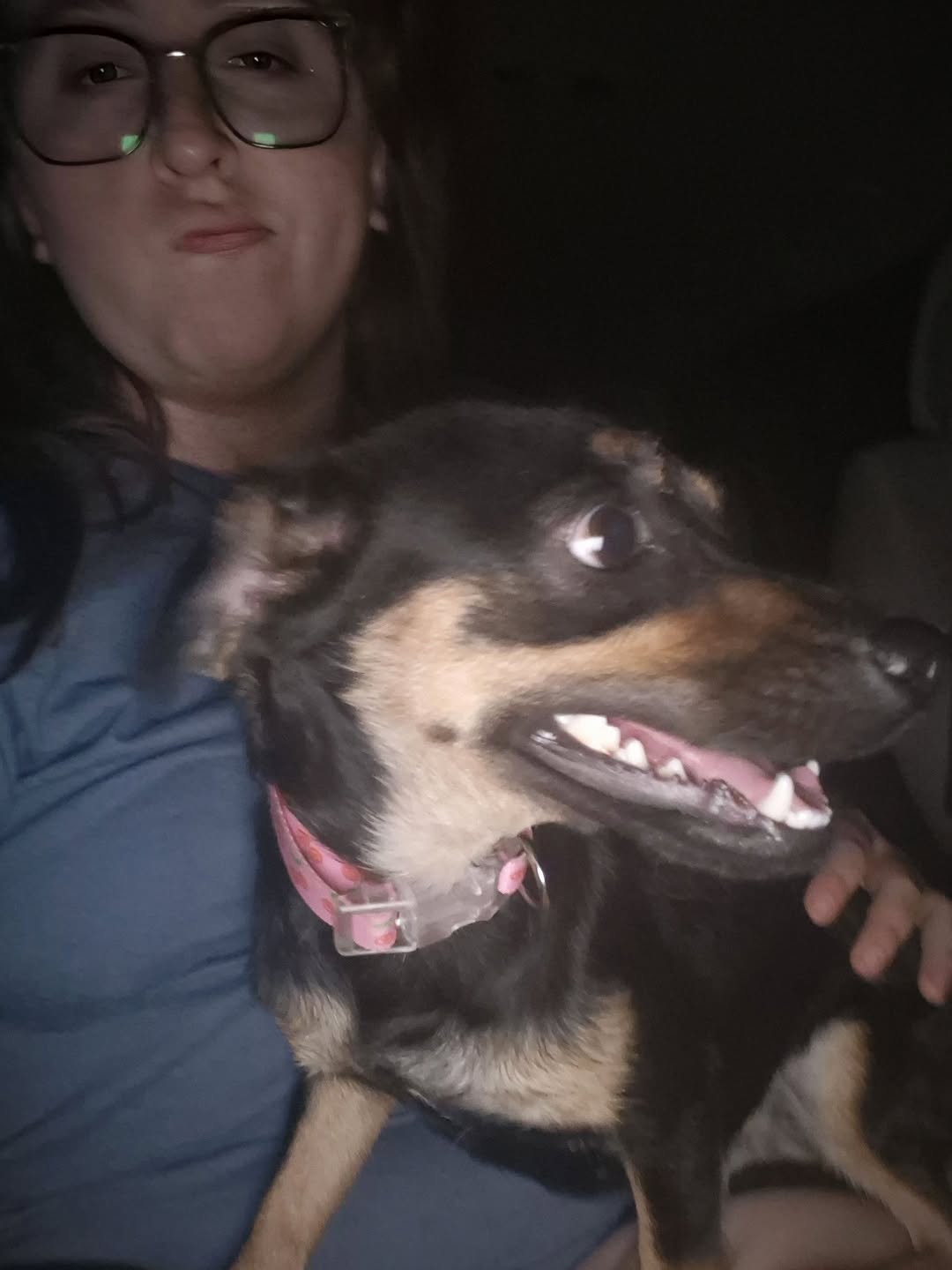 Found dog