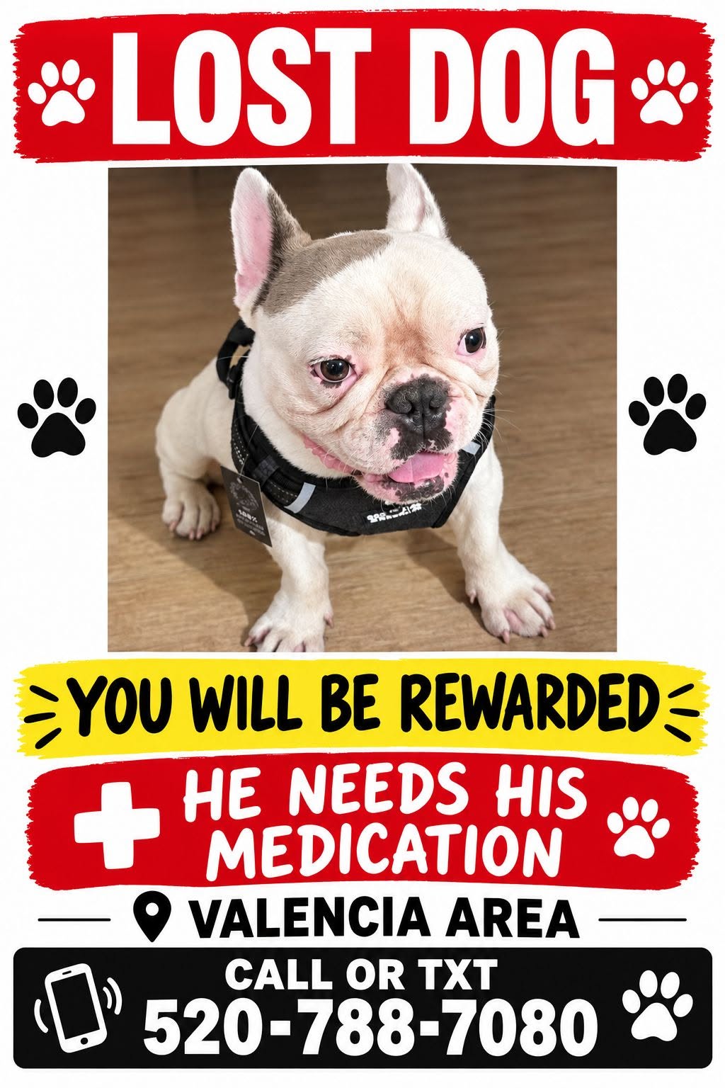 Lost Dog in Valencia And Headley