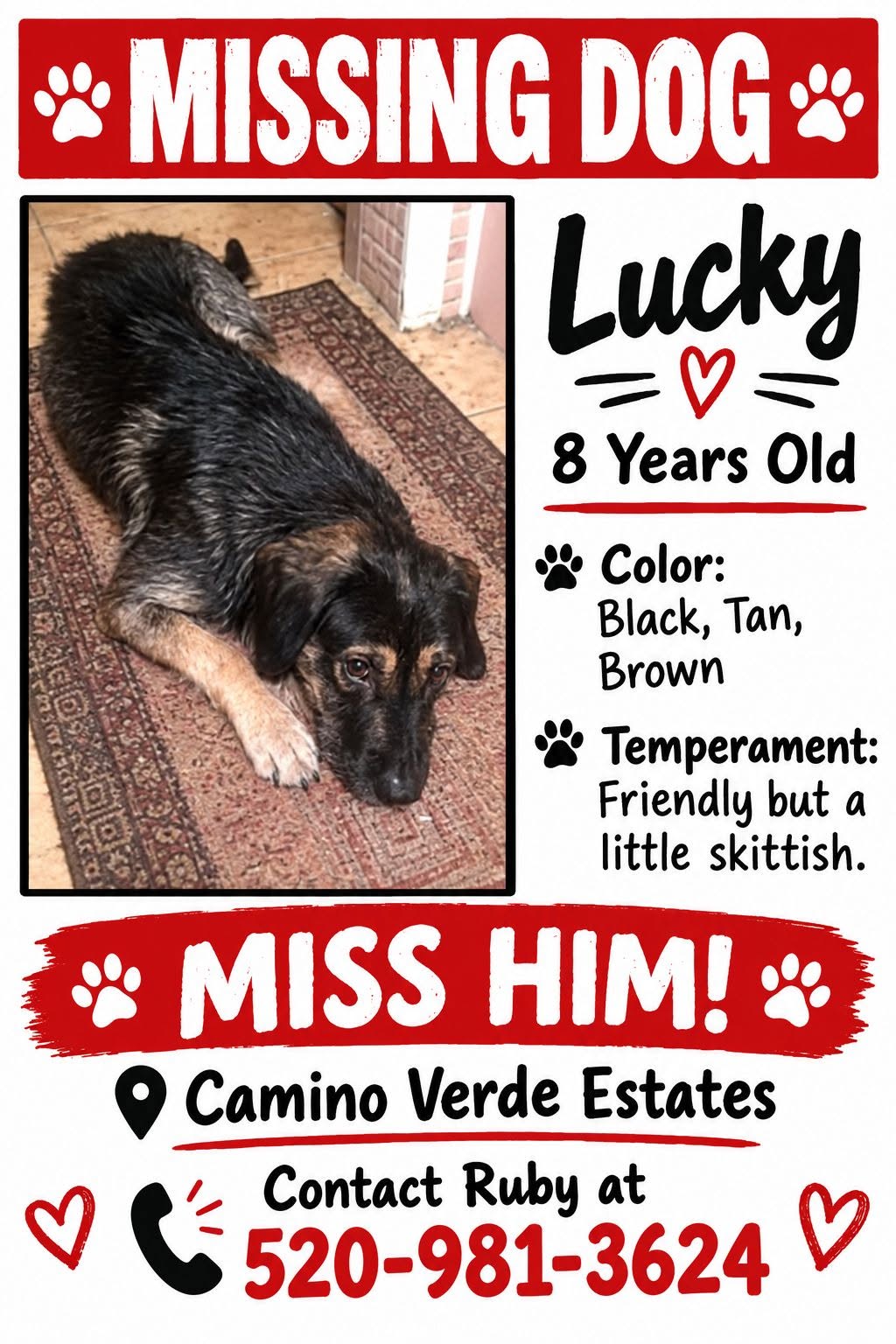 Lost Dog in Camino Verde & Valencia