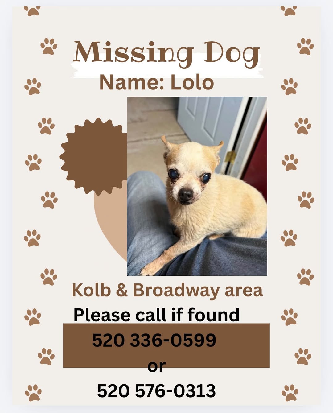 Lost Dog in Kolb & Broadway