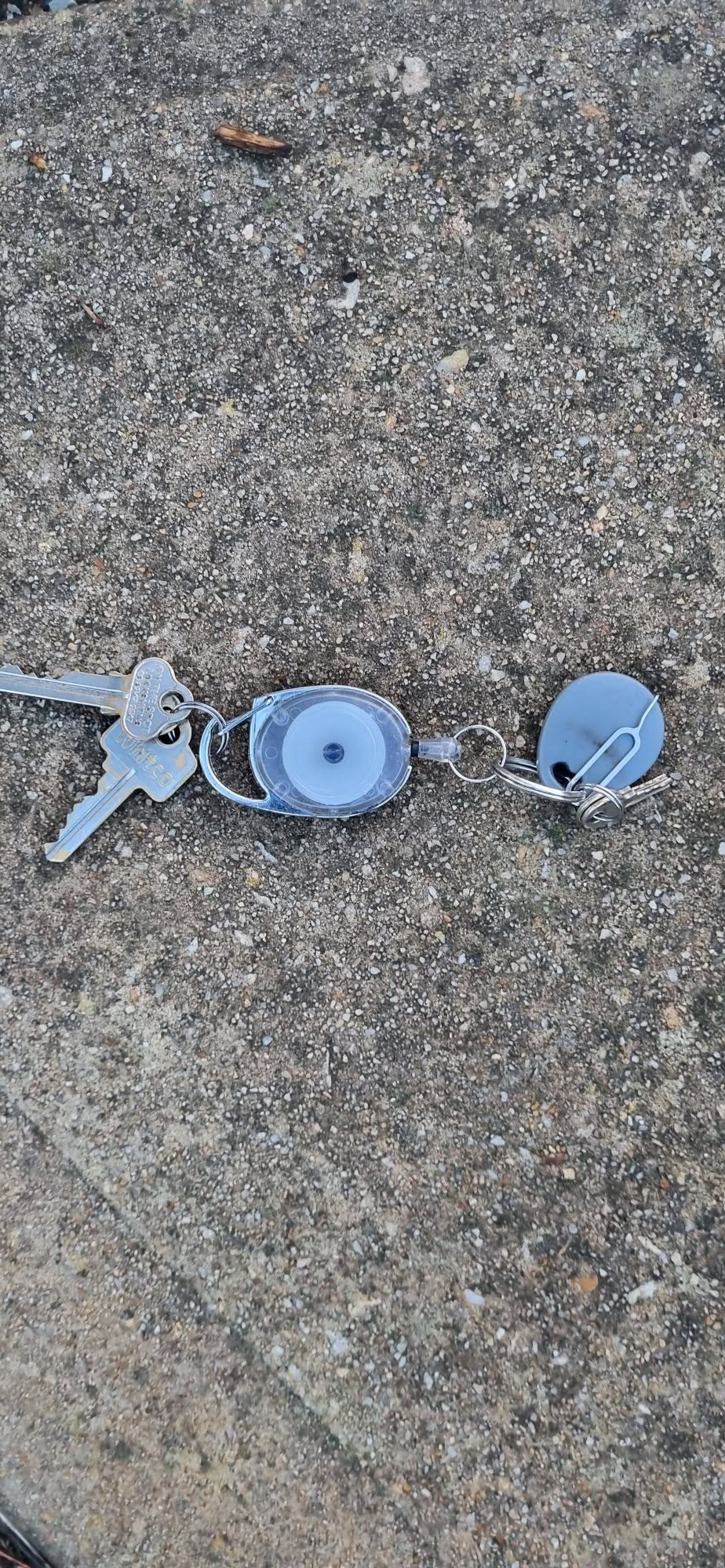 Found keys