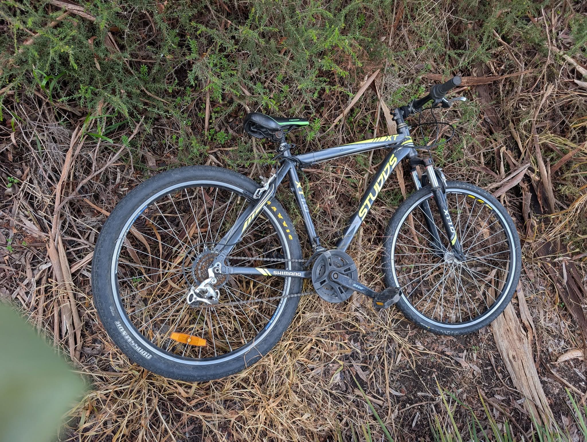 Found bike