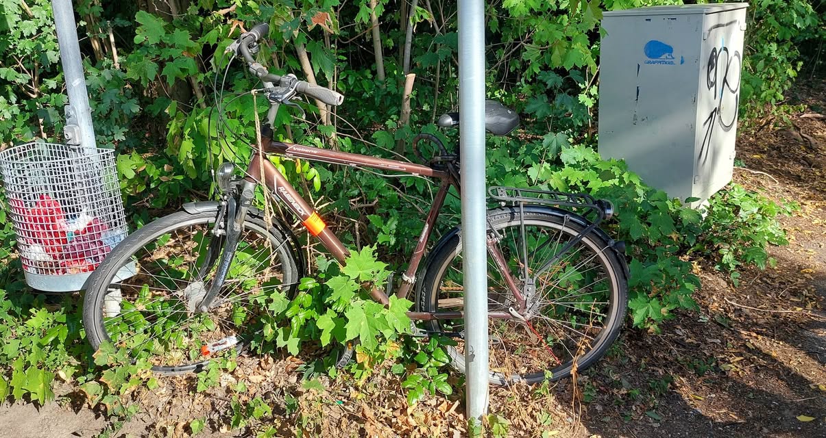 Found bike