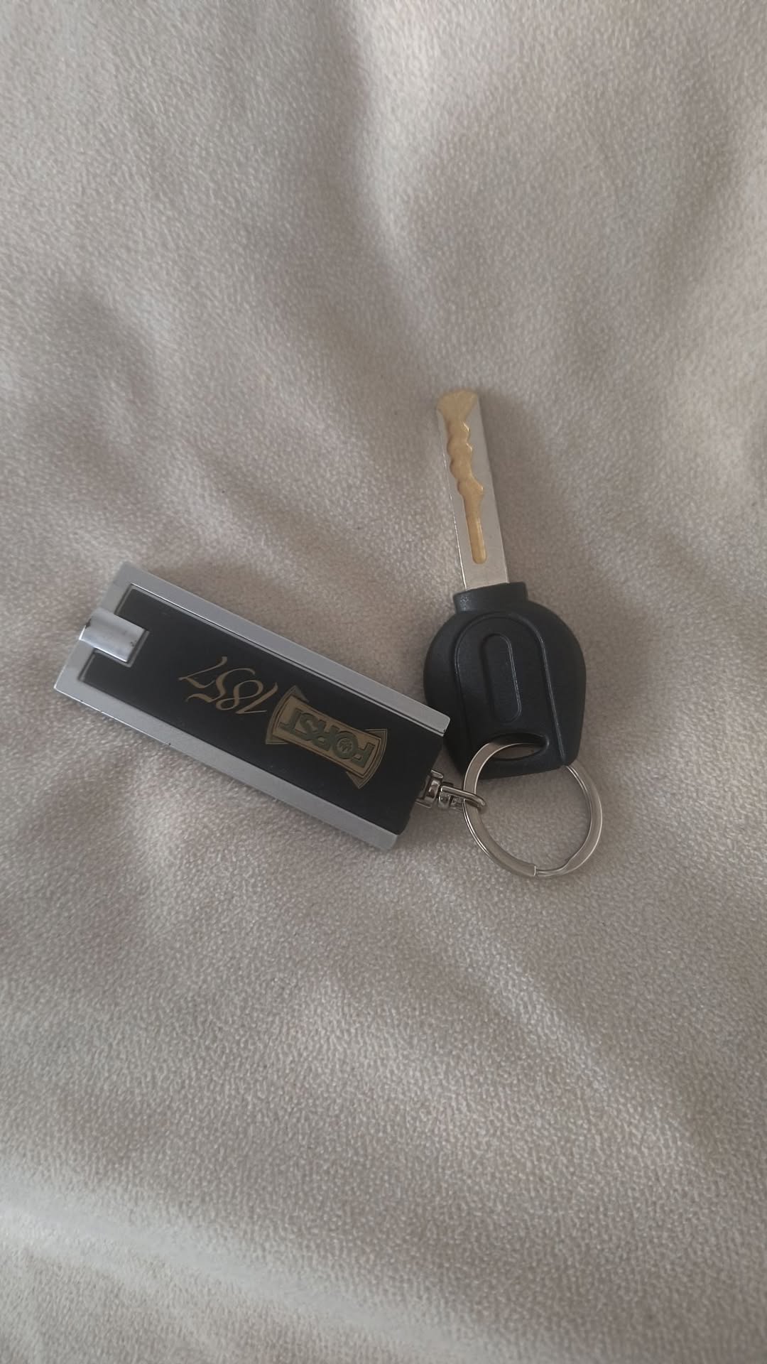 Lost Keys in Austria