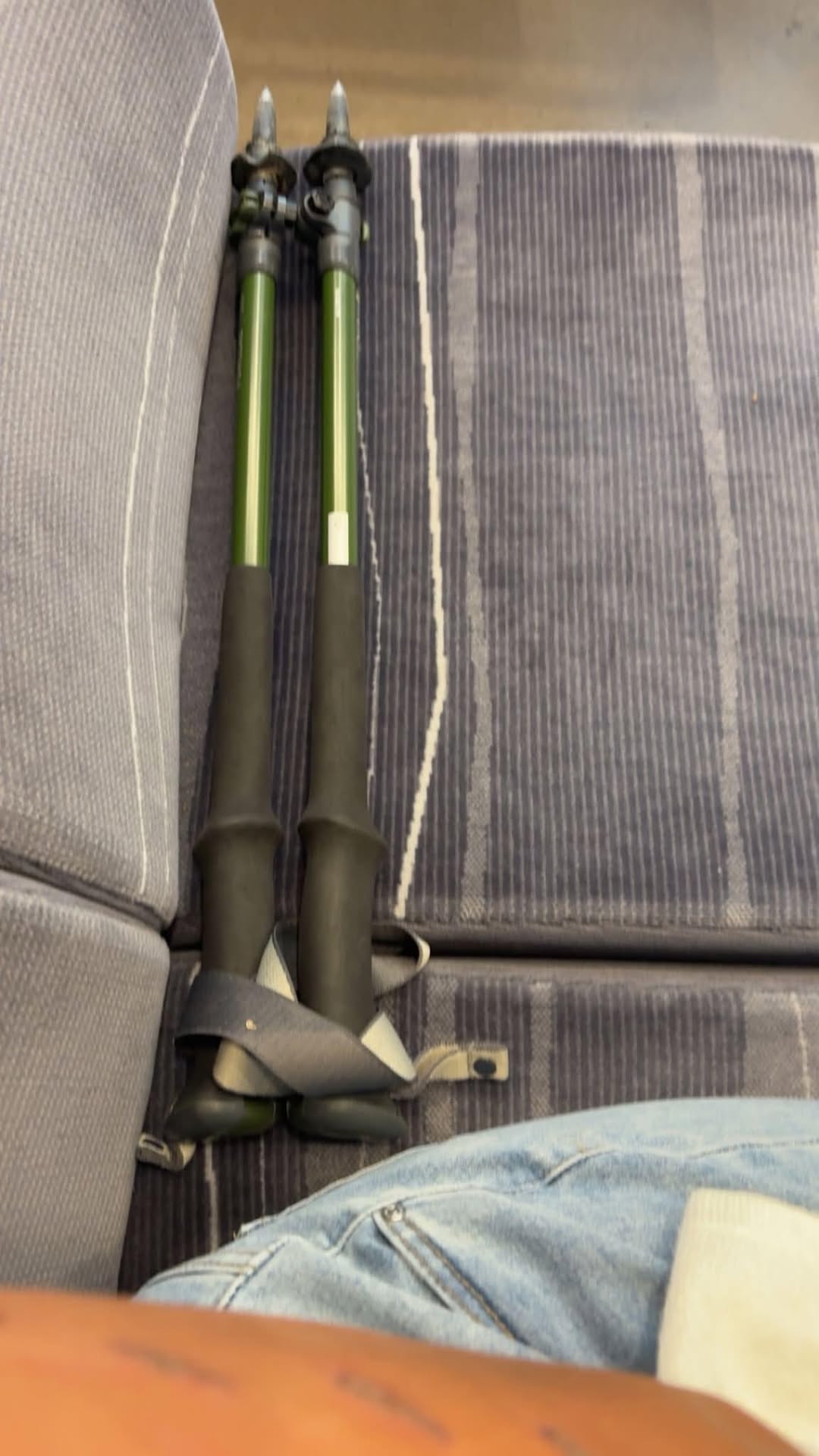 Found Trekking Poles in Brig