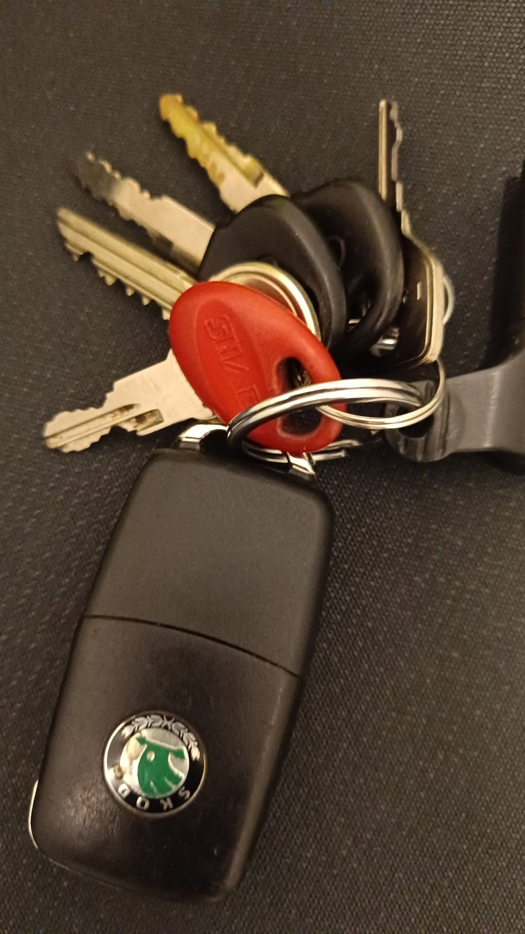 Lost Keys in Wolfurt