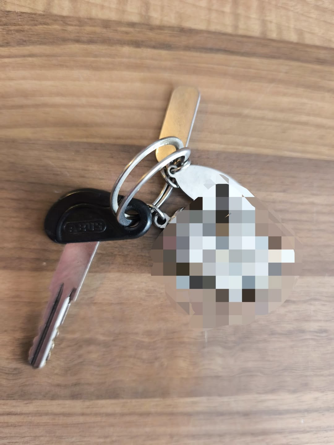 Found Keys in BarsbüTtel