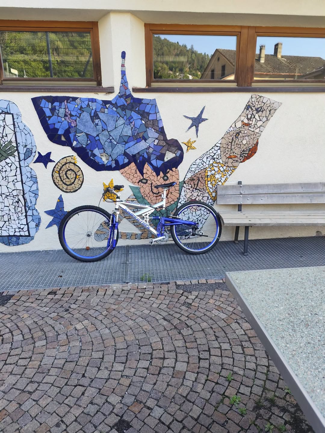 Found bike