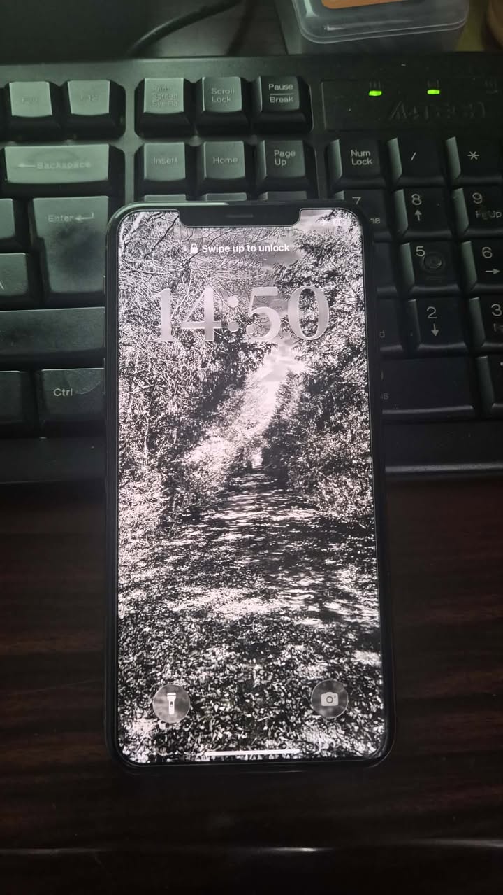 Found Phone in Barangay Office
