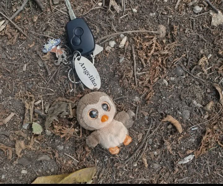 Found keys