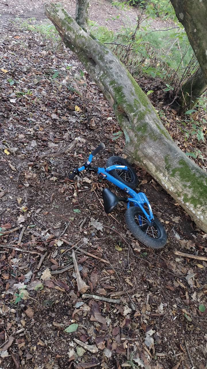 Found bike