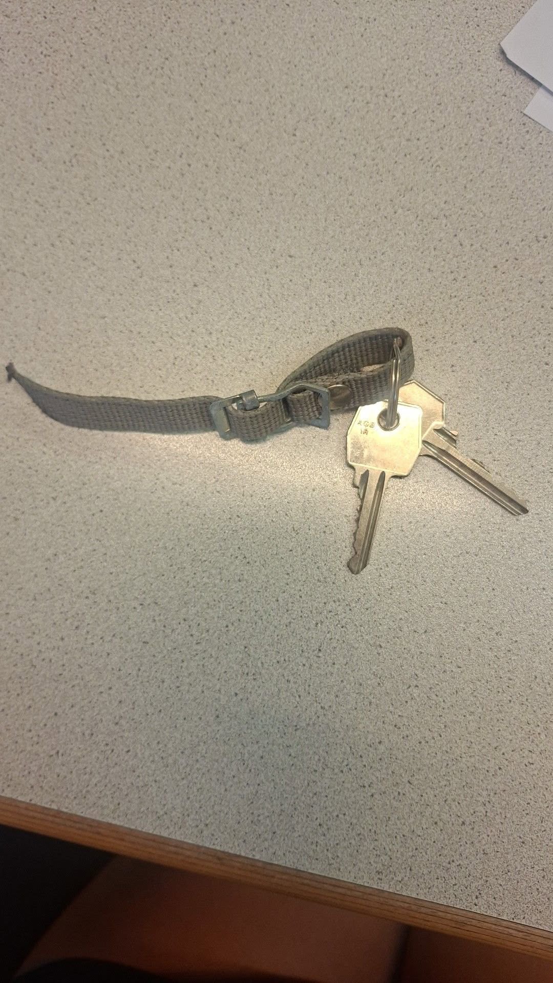 Found keys