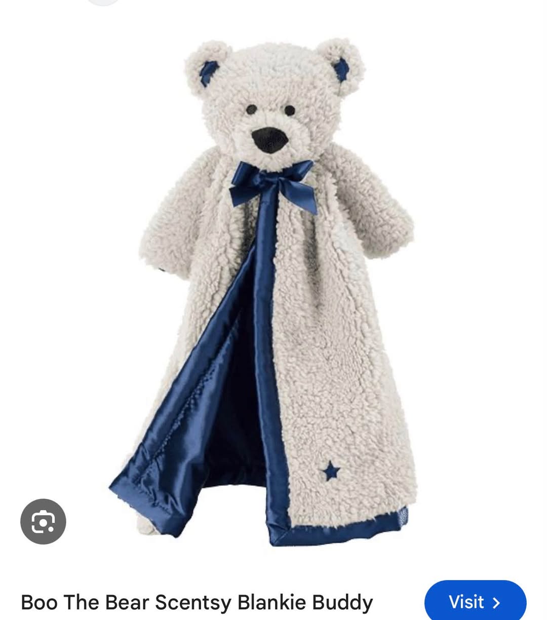 Lost Toy in South Australia