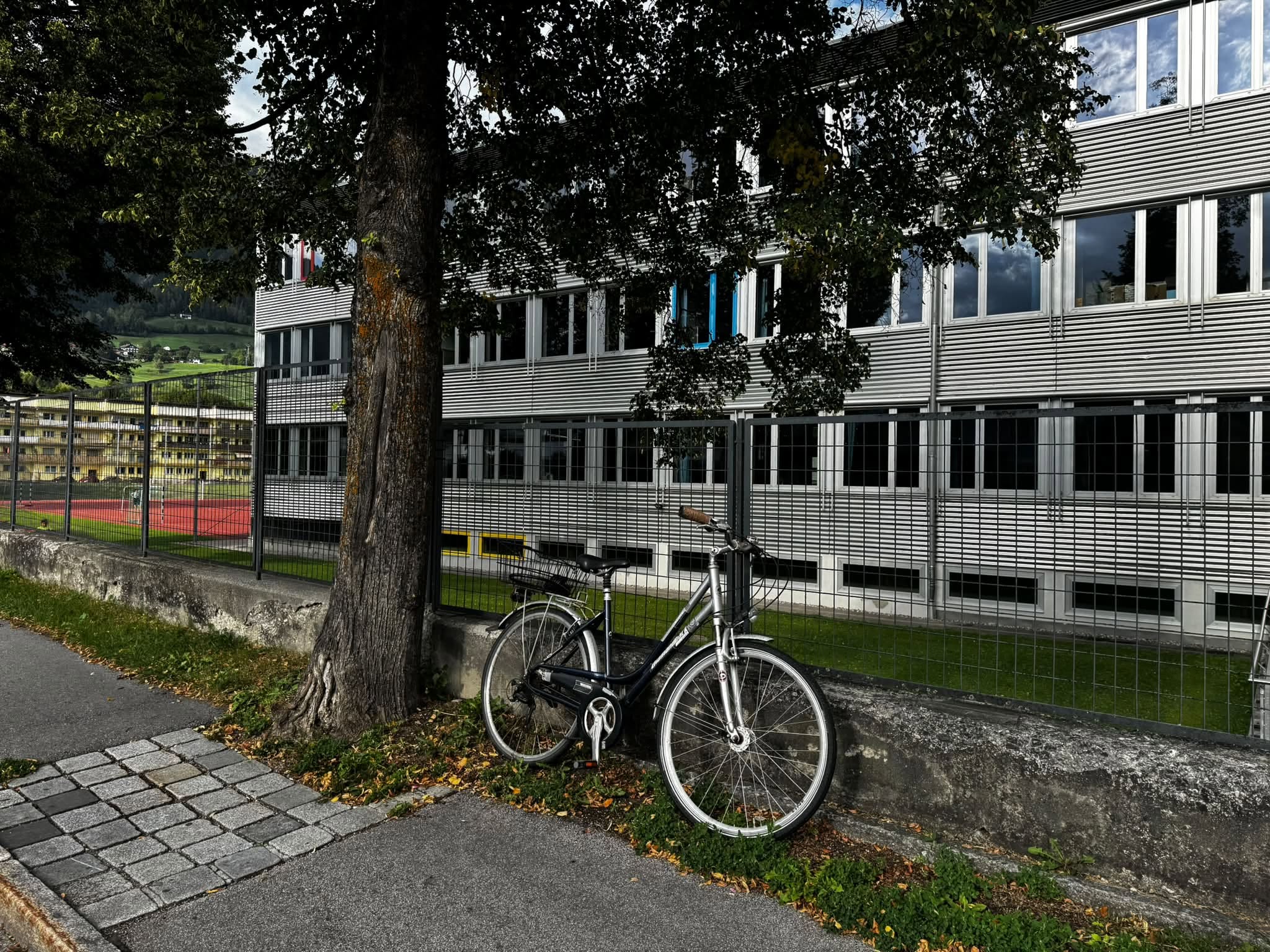 Found bike