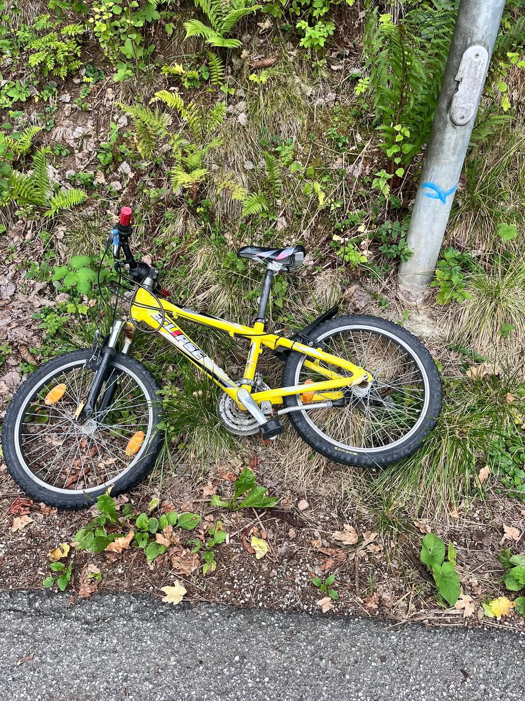 Found bike