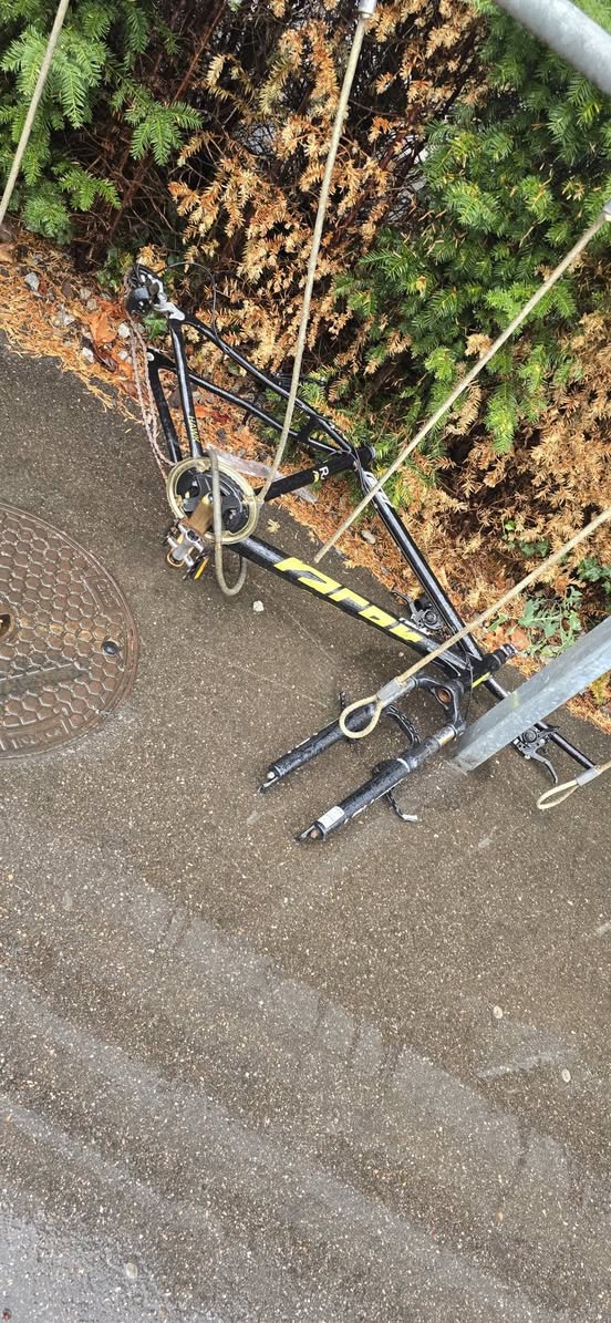 Found bike