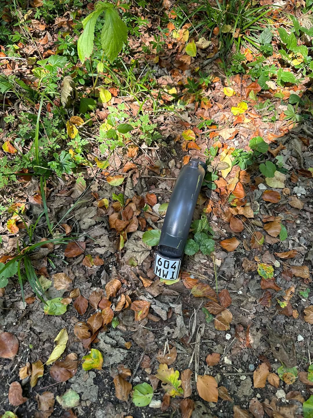Found Other in Austria