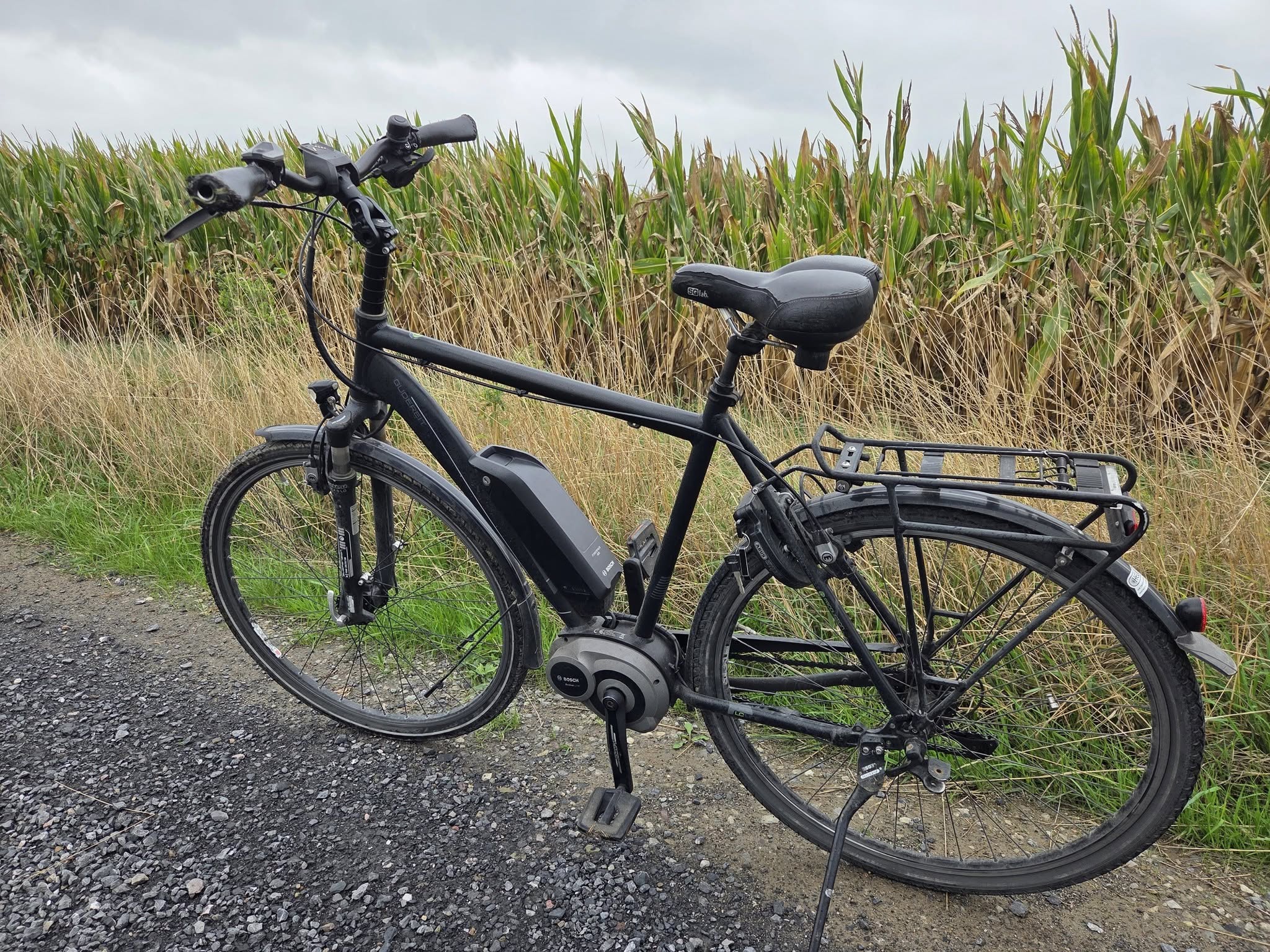 Found bike