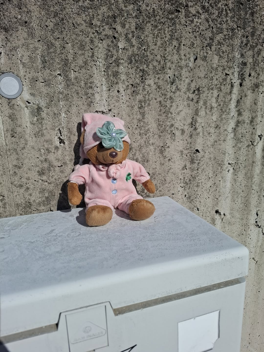 Found Plush Toy in Anna Waldeck-StraßE