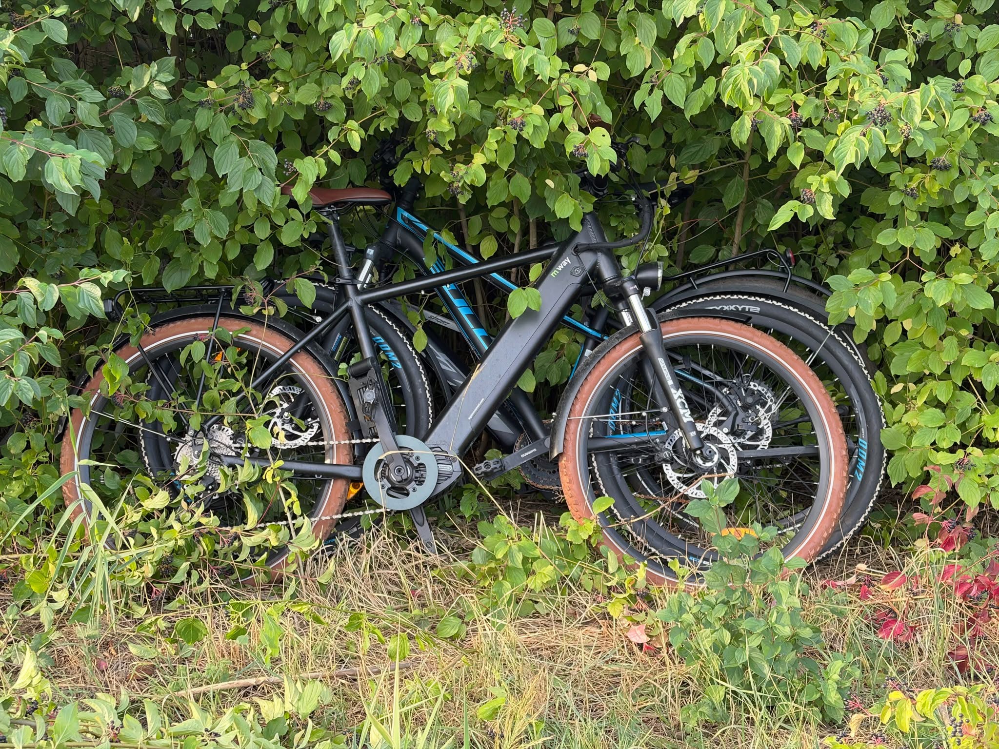 Lost bike