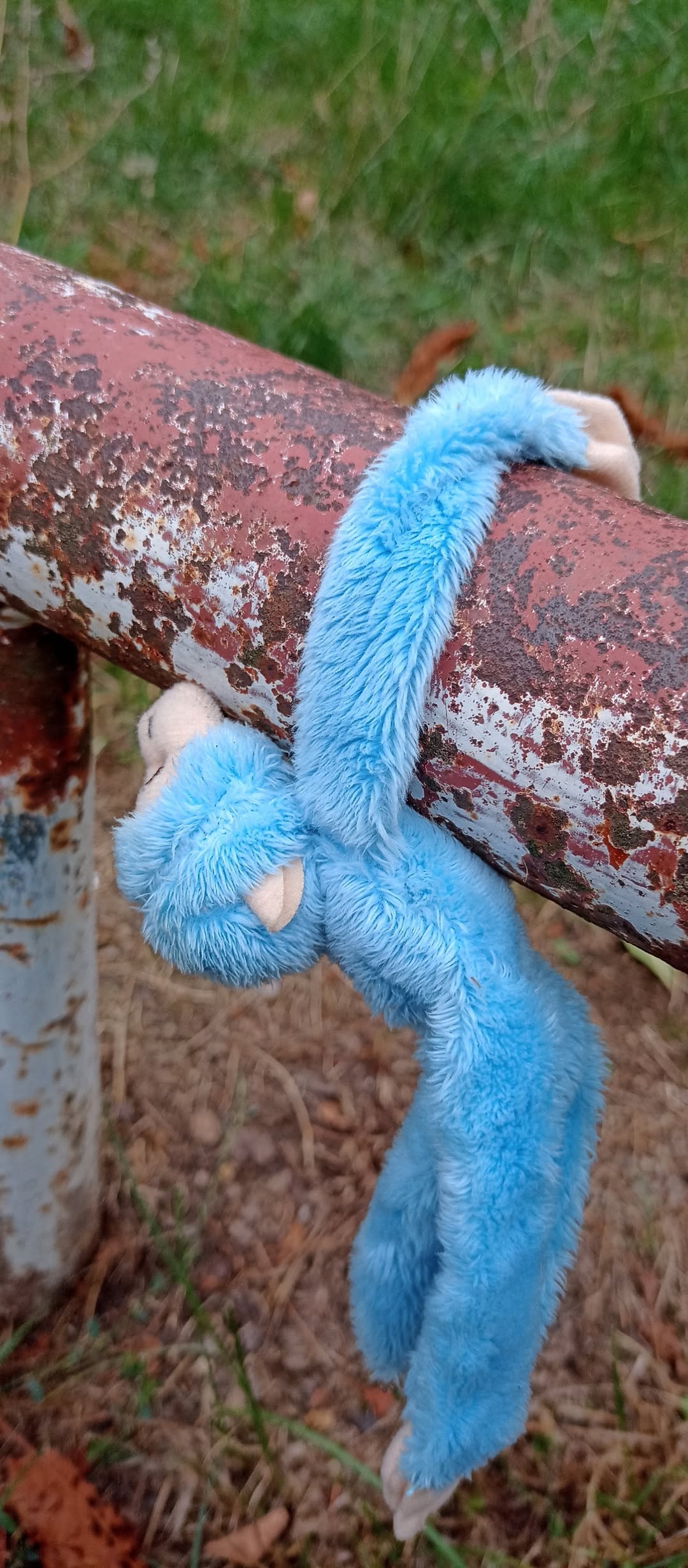 Found Toy in Auensee Parkplatz
