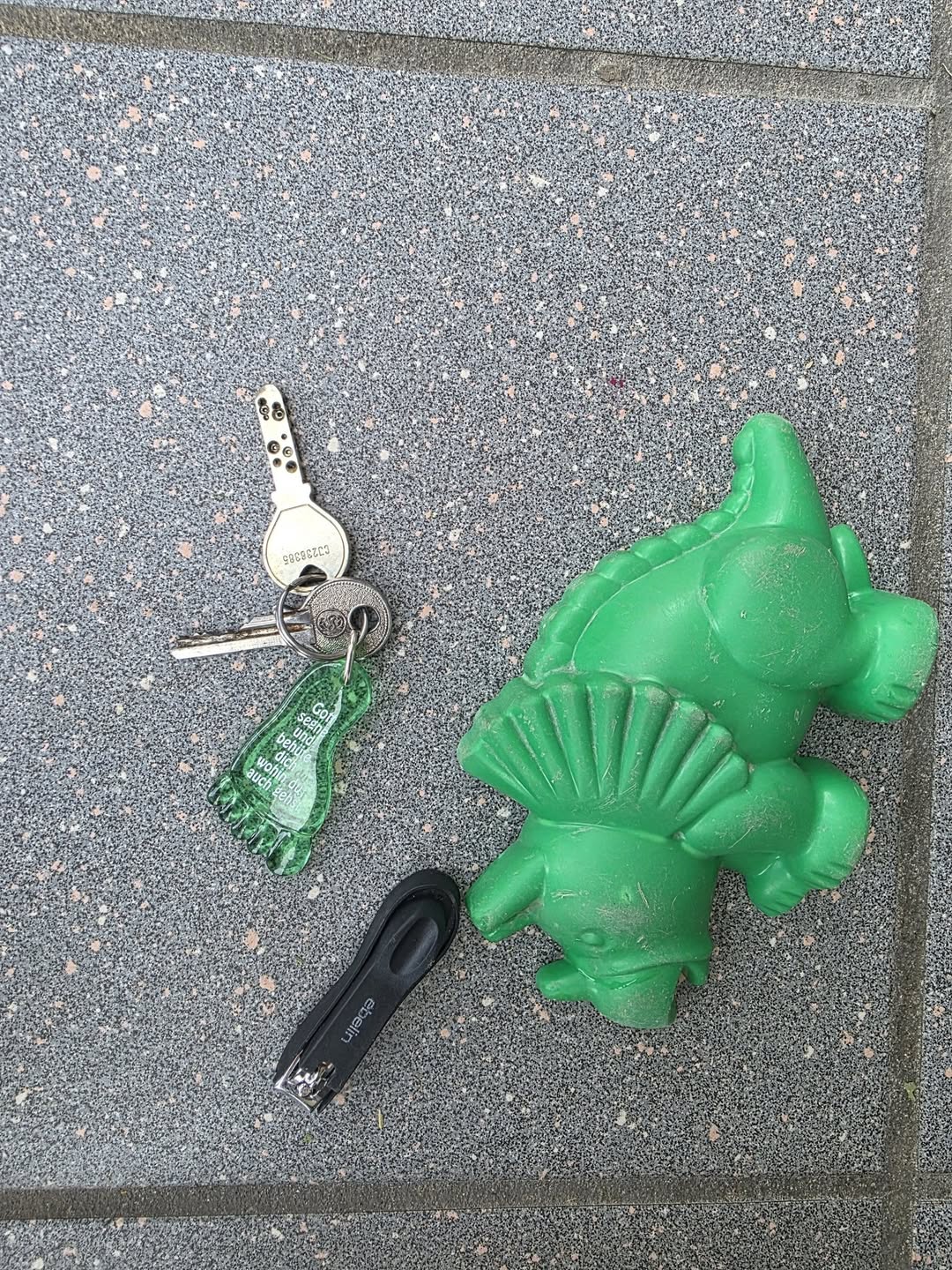 Found Keys in Schleiser Spielplatz