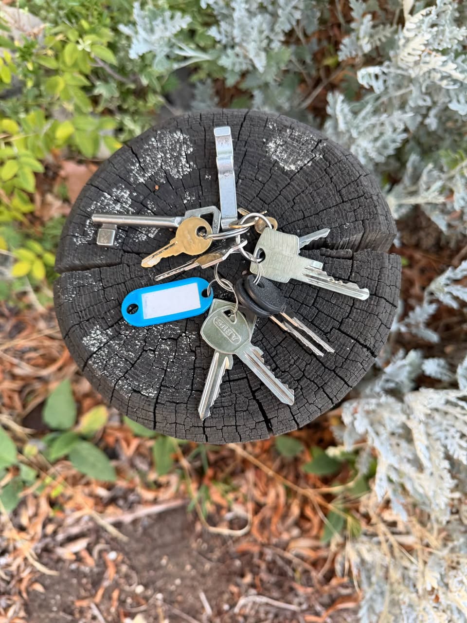 Found keys