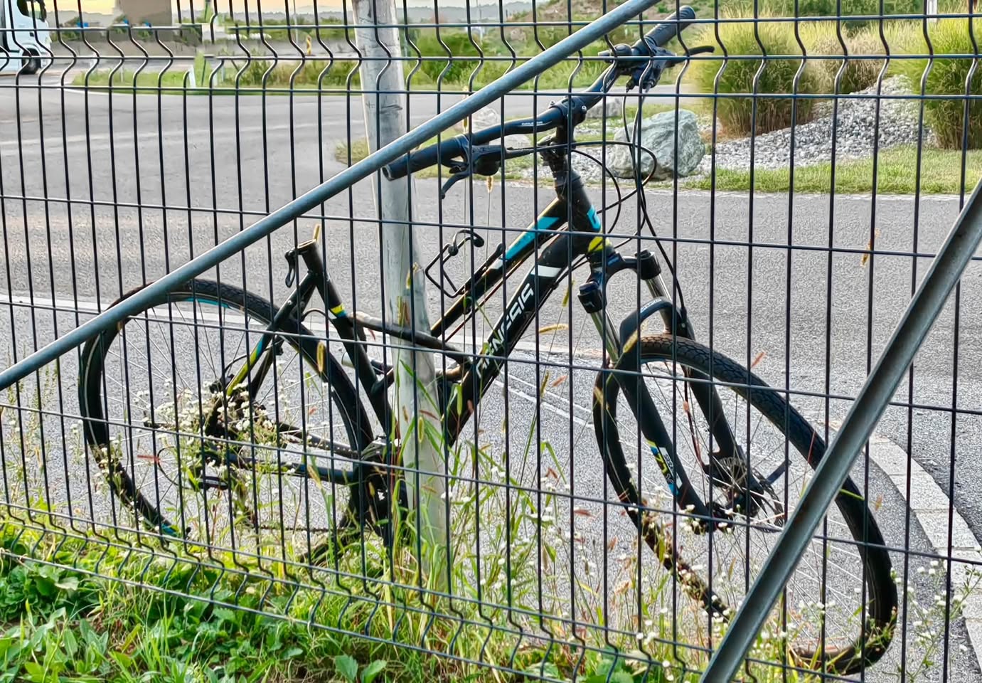 Found bike
