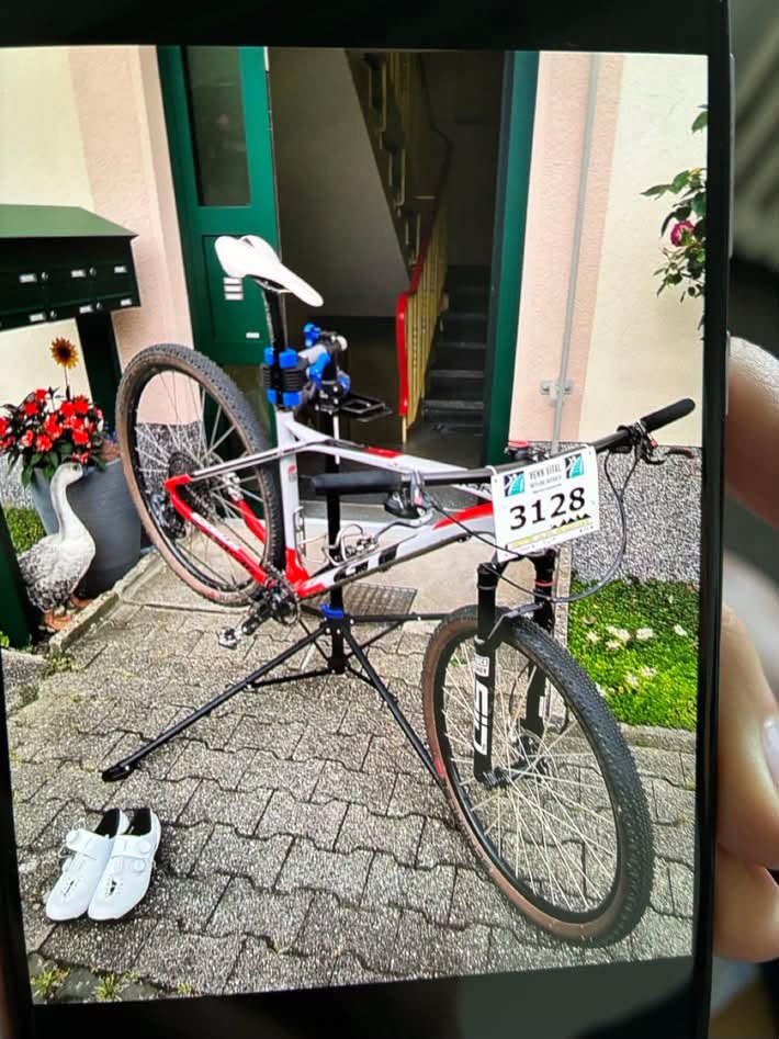 Lost Bike in Daun
