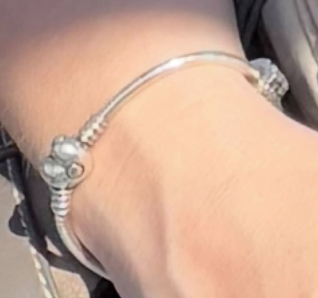 Lost Bracelet in Wangen Bei Olten