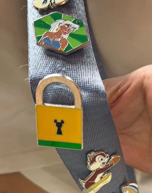 Lost pin