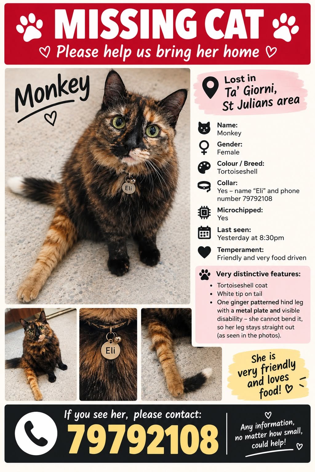 Lost Cat in Malta