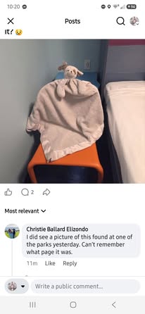 Lost Toy in Orlando