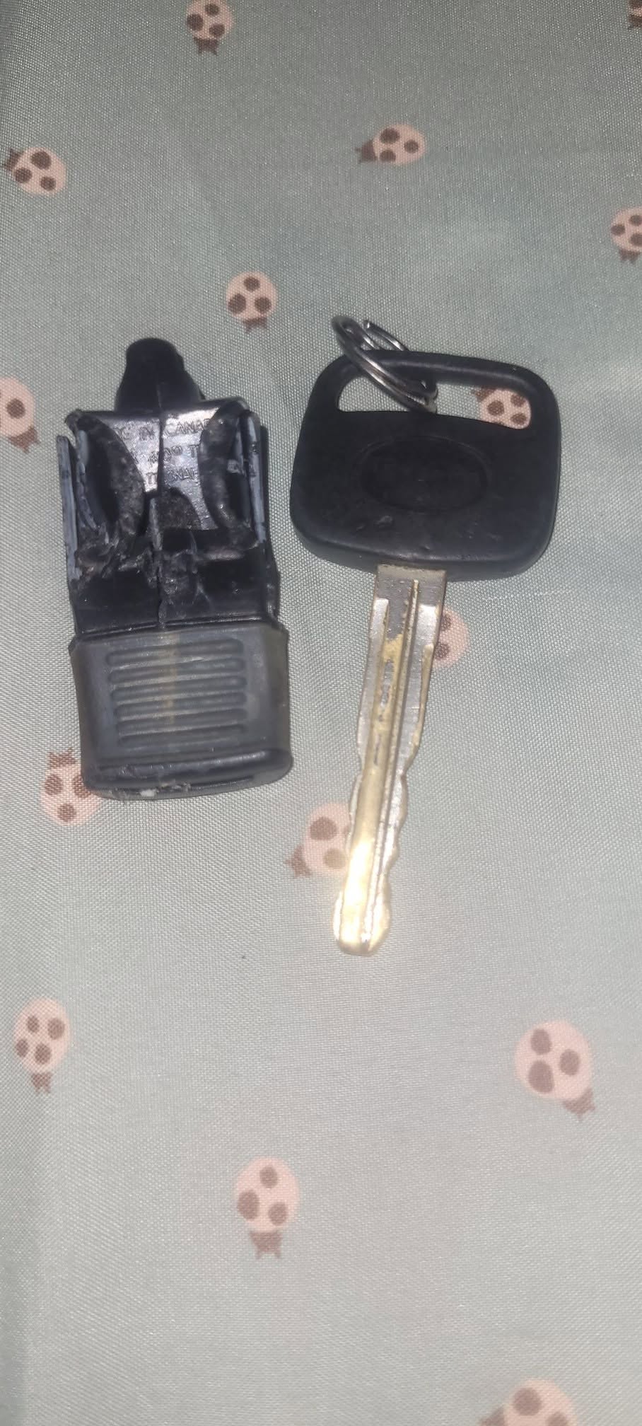Found Keys in Saint George