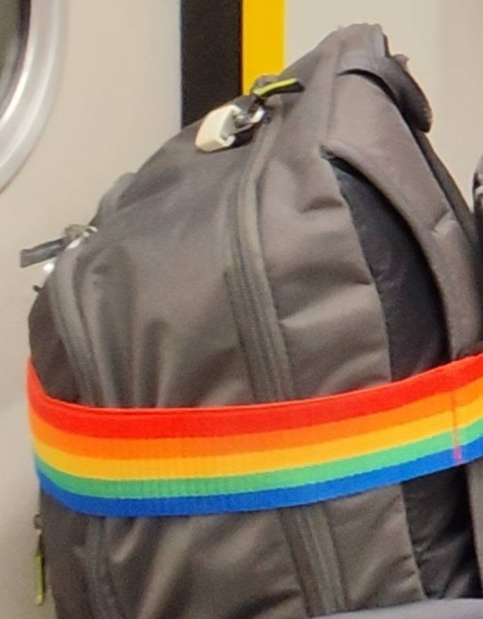 Lost Bag in Singapore
