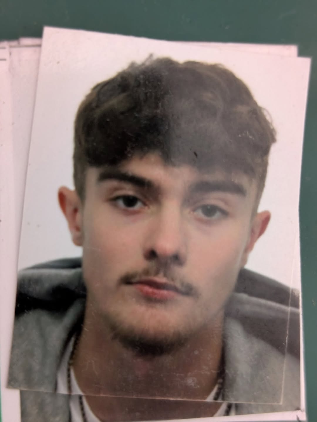 Found Wallet in Carpet Castle