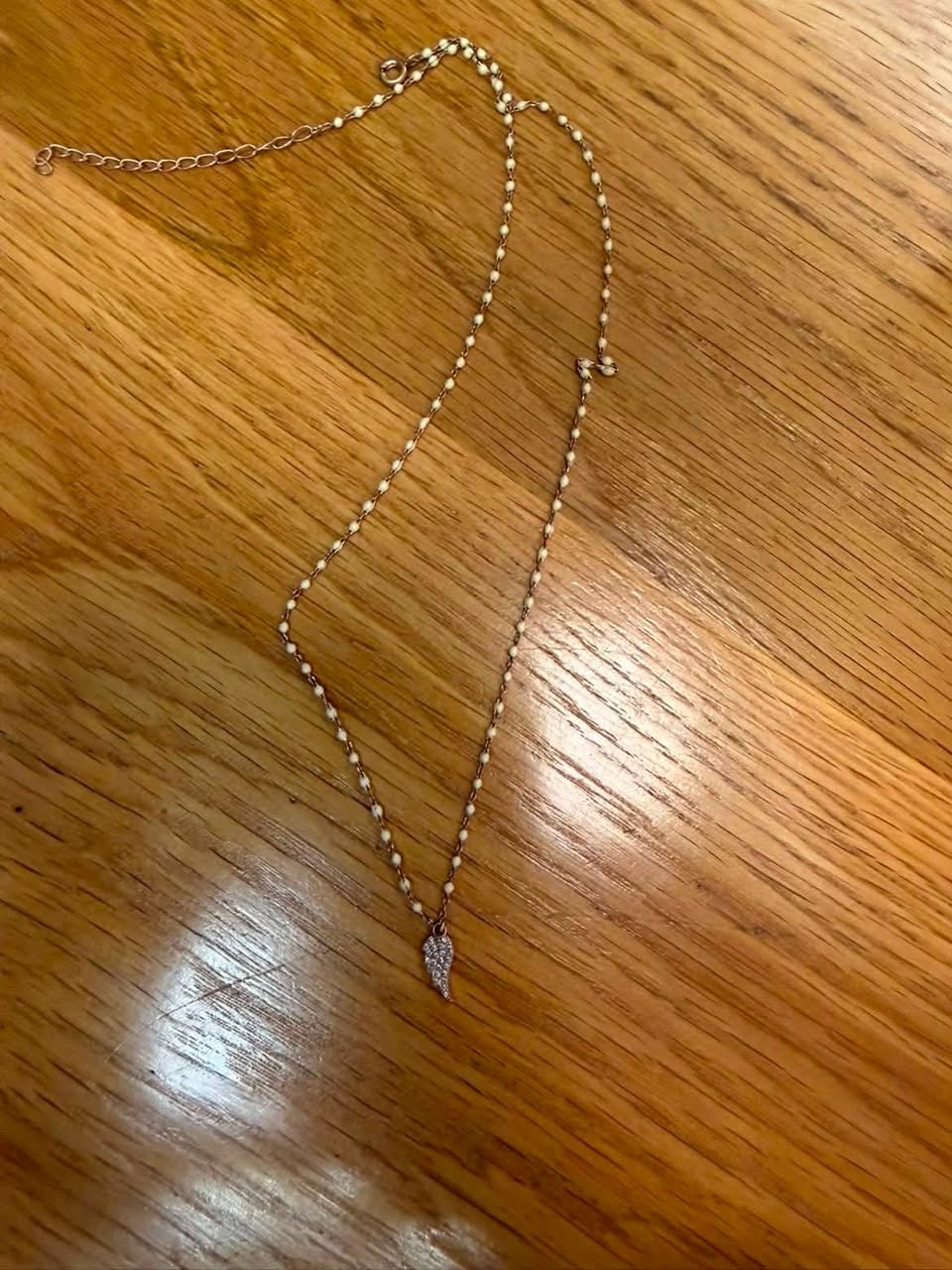 Lost Necklace in Ohio