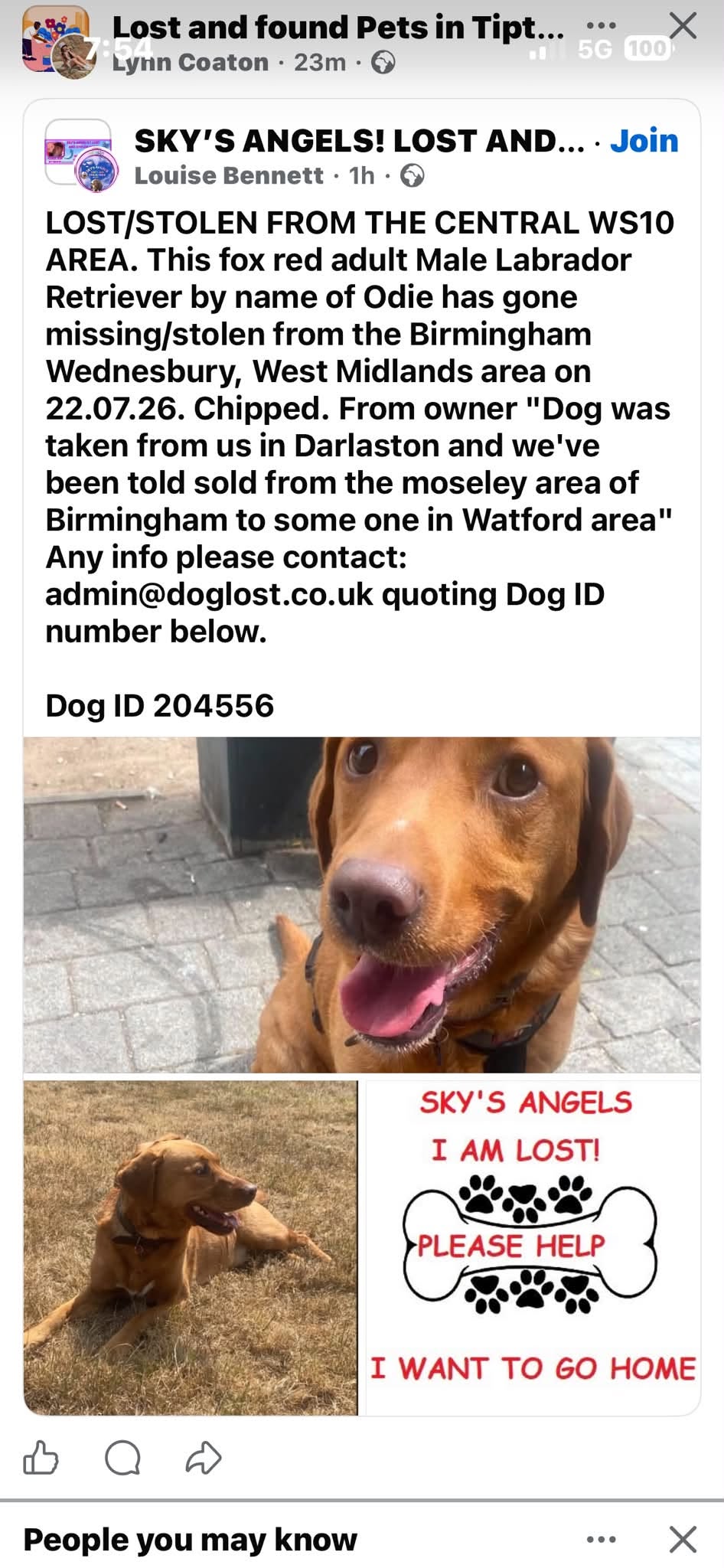 Lost Dog in Wednesbury
